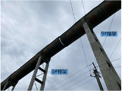 w88win优德(中国)官网有限公司